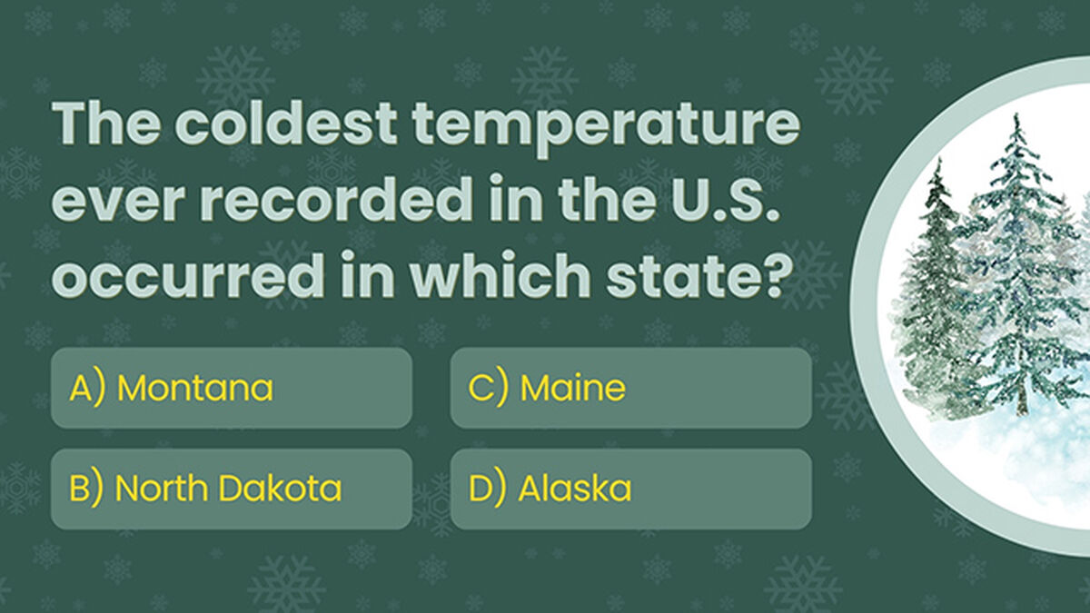 Winter Trivia image number null